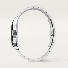 Cartier SANTOS GRAY 39.8mm