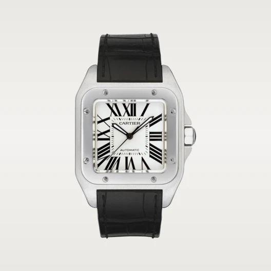 Cartier SANTOS 100 Silver Gray 35.5mm