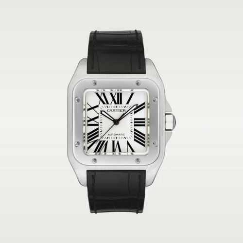 Cartier SANTOS 100 Silver Gray 35.5mm