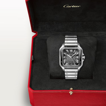 Cartier SANTOS GRAY 39.8mm