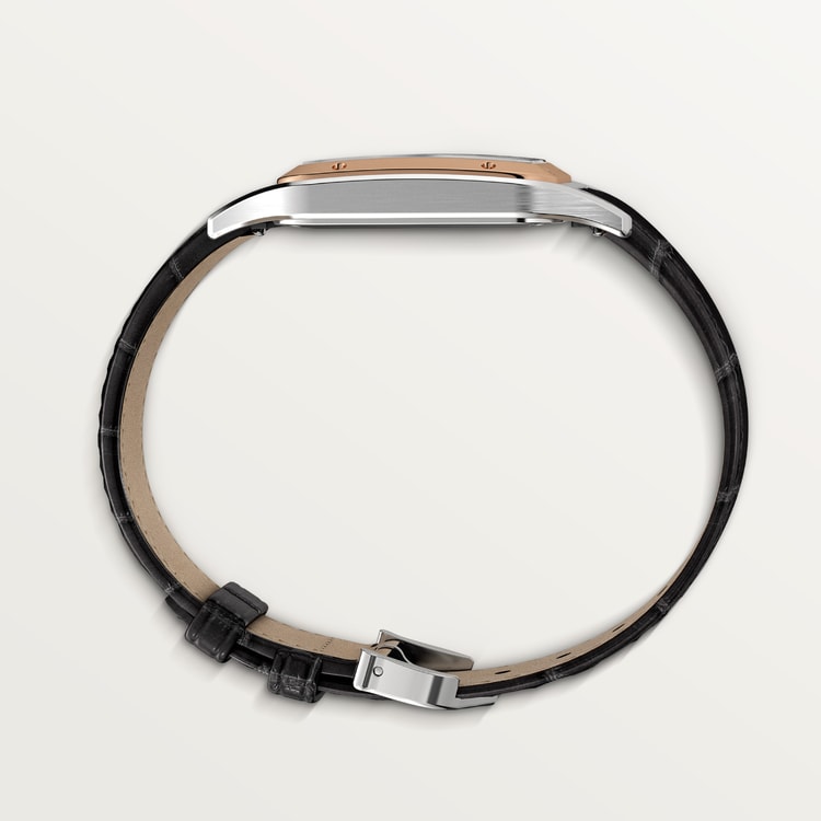 Cartier Santos-Dumont Large model Satin-brushed Silbernes Zifferblatt 43.5 mm x 31.4 mm