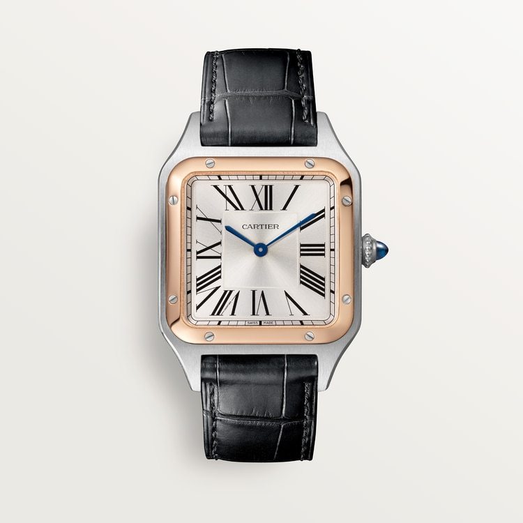 Cartier Santos-Dumont Large model Satin-brushed Silbernes Zifferblatt 43.5 mm x 31.4 mm